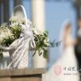 婚礼妻子丢下我和别人跑了